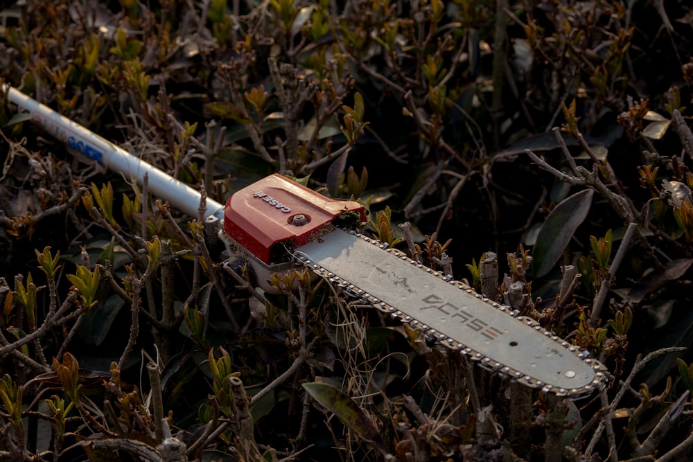 a red and white chainsaw sitting on top of a lush green field