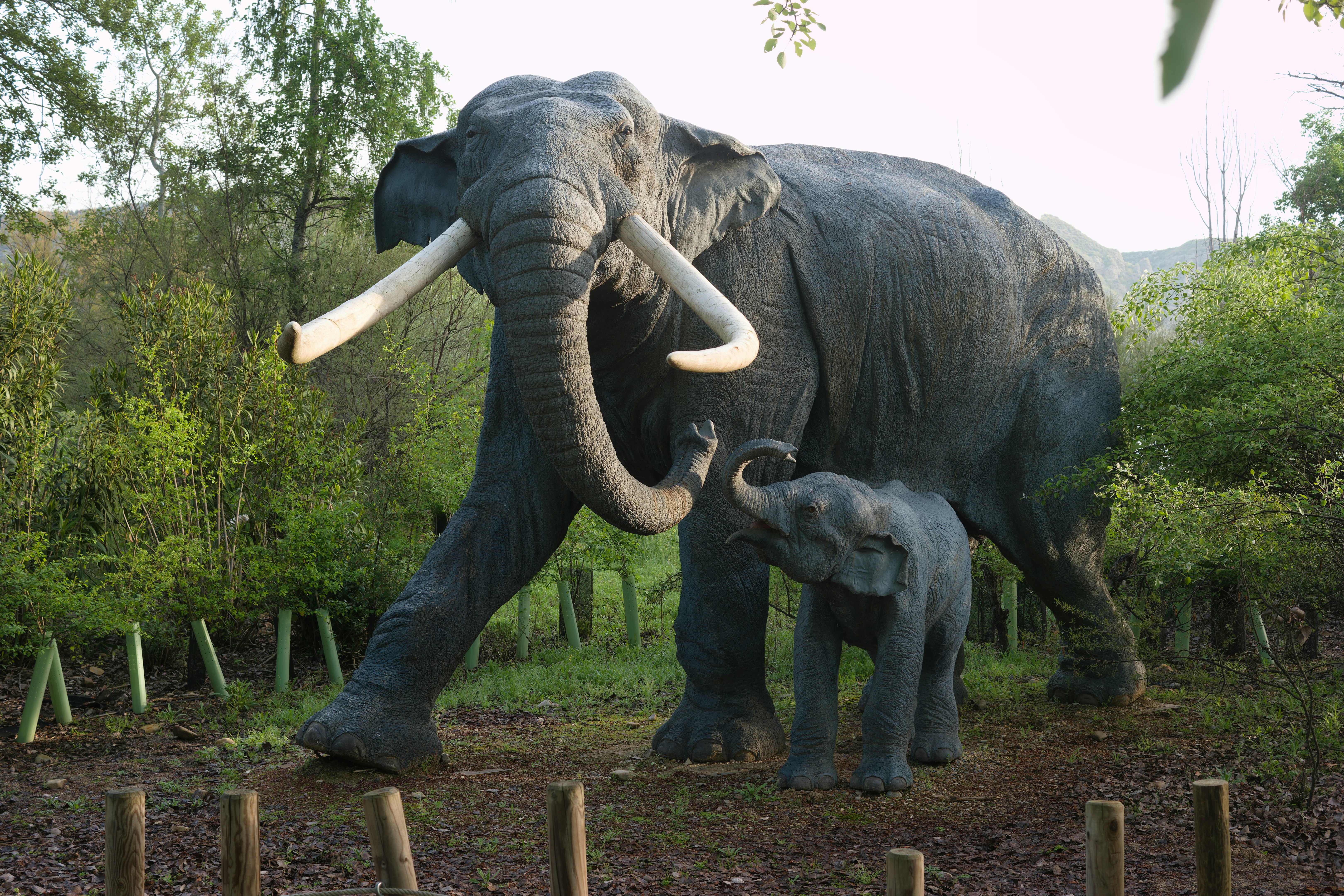 an adult elephant and a baby elephant walking in a field