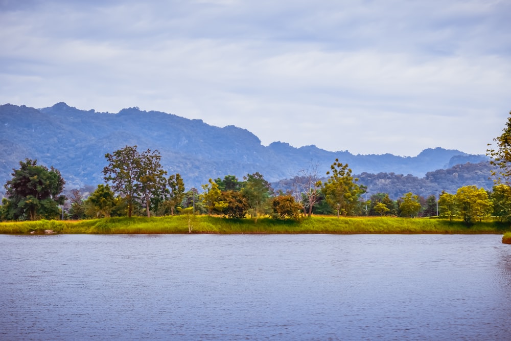 a body of water surrounded by trees and mountains