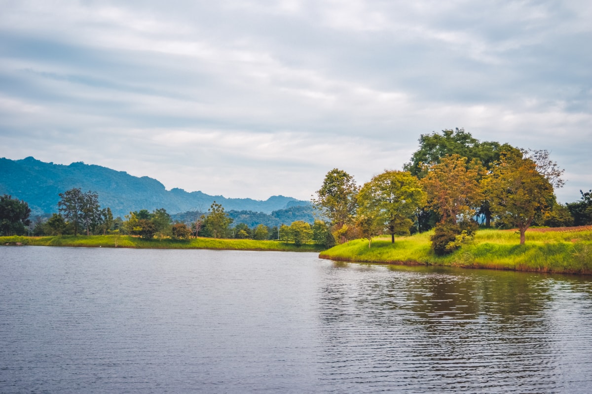 Tea plantation terraces on the slopes of Doi Mae Salong near Chiang Rai with mountain views