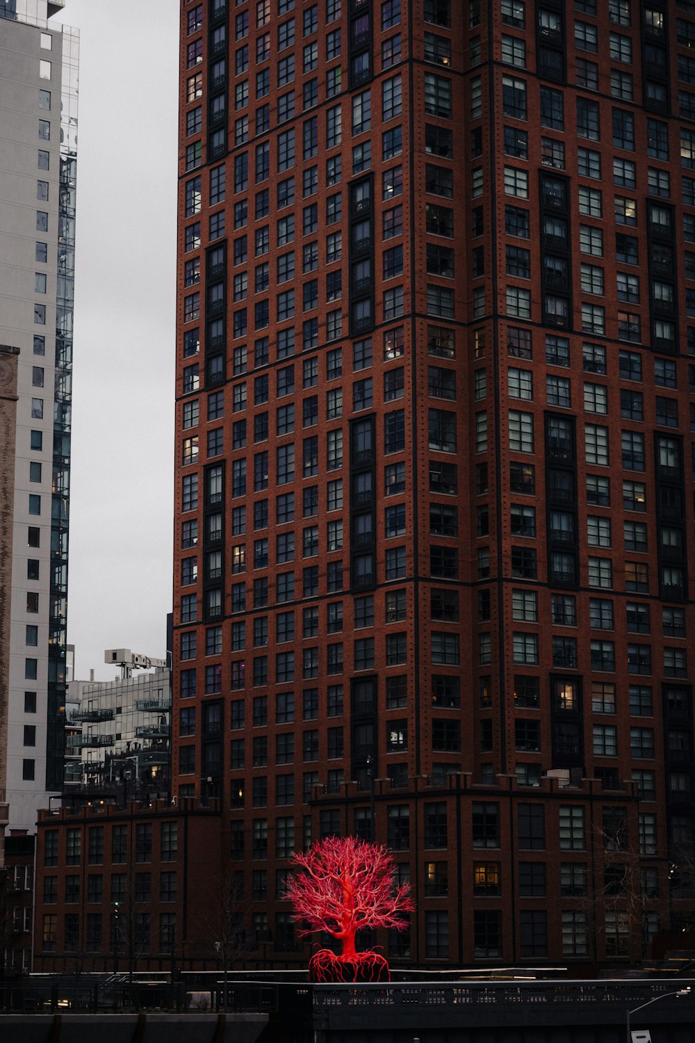 a tall building with a red tree in front of it