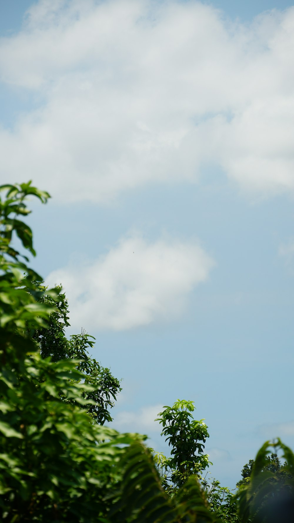 a plane flying through a blue cloudy sky