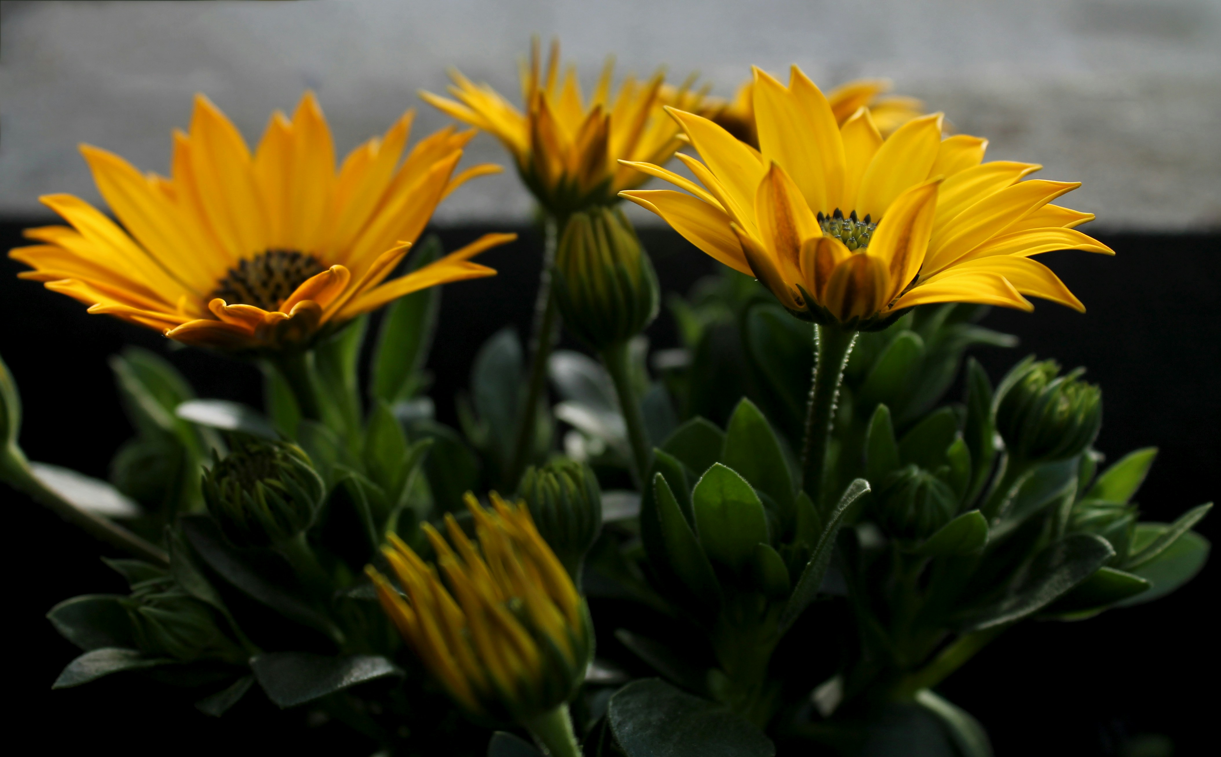 Photo by wswierzgon
