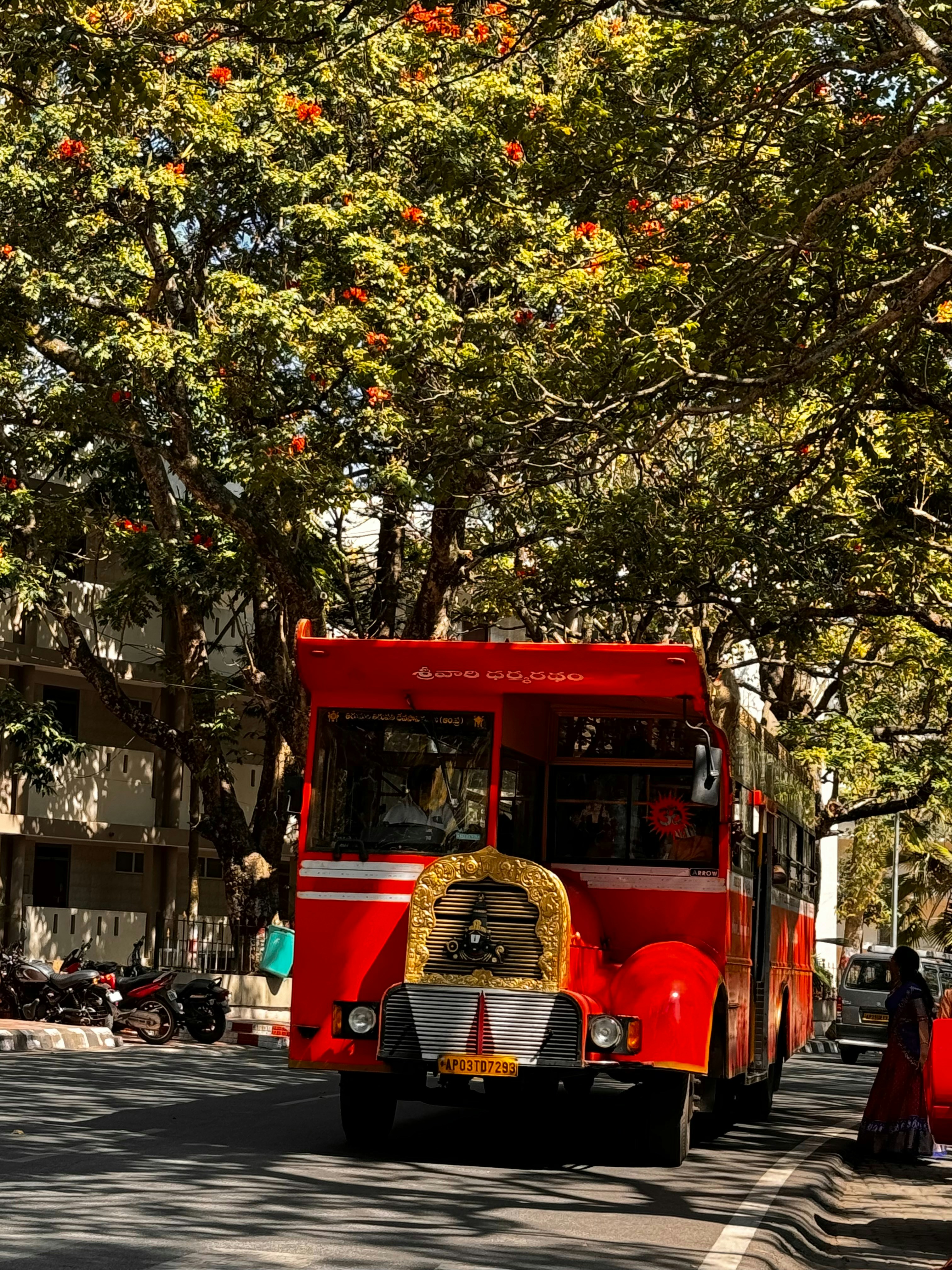 Photo by sharvanip17