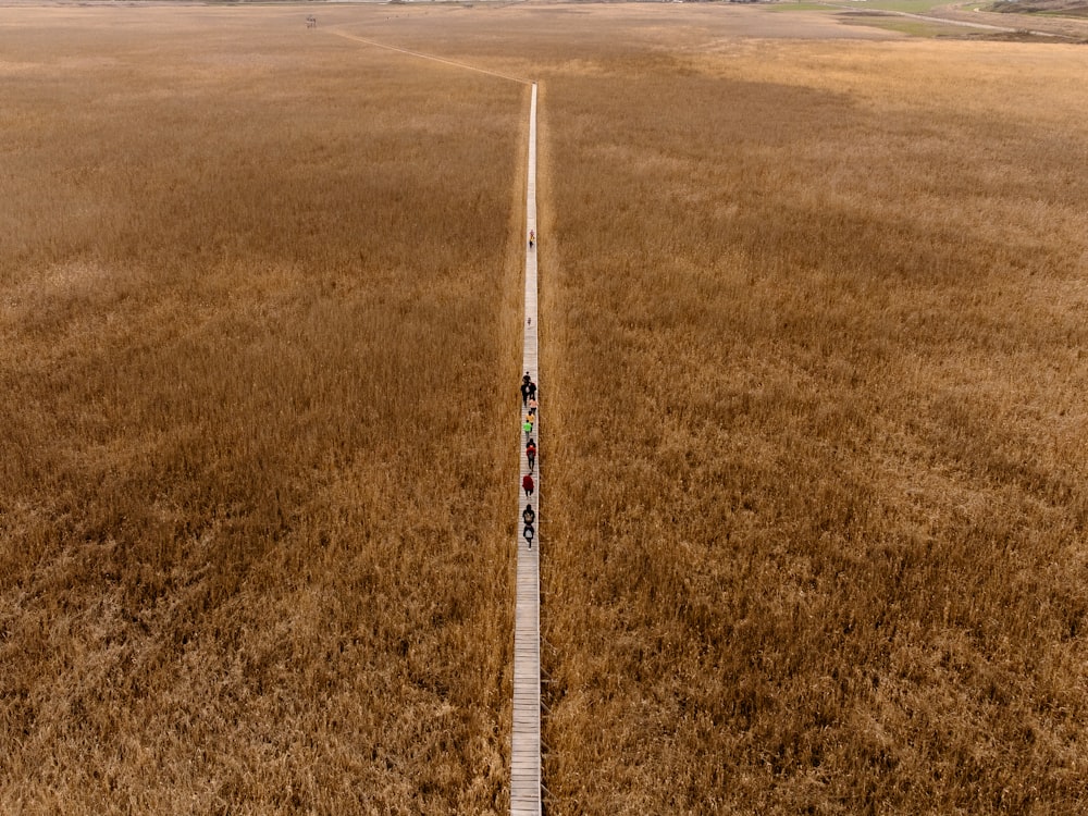 an aerial view of a road in a field