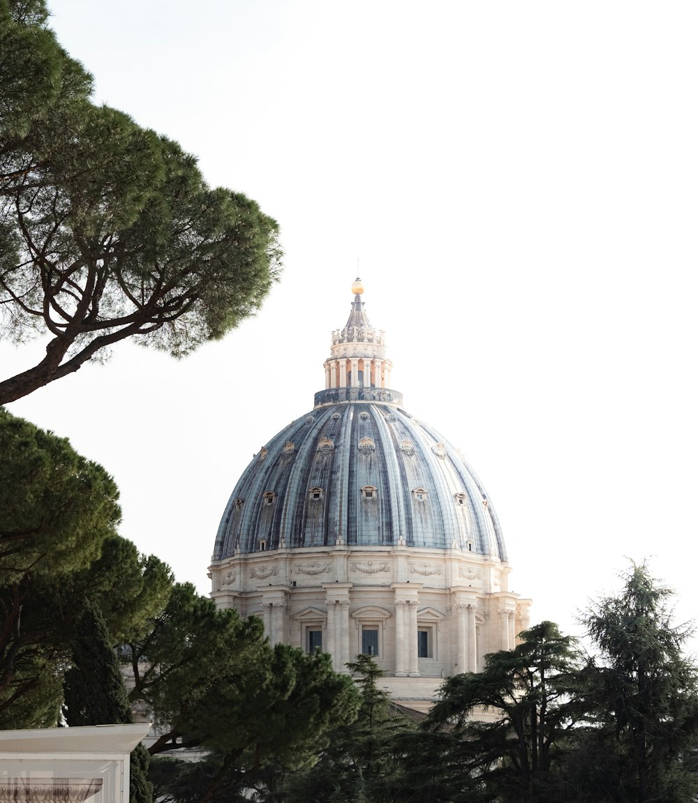 the dome of a building with trees in the foreground