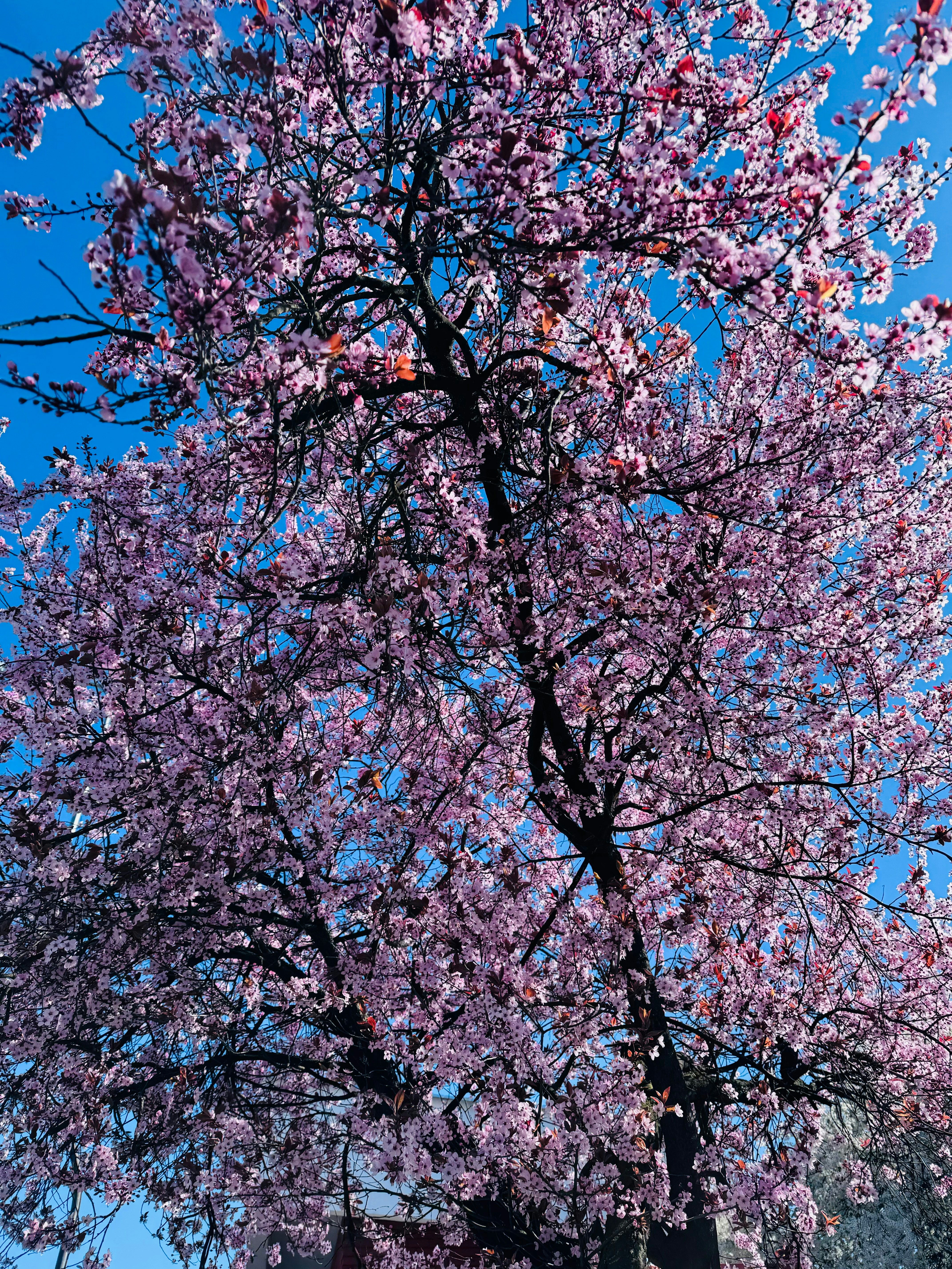 Photo by kakasikriszta