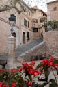 a stone building with a lamp post and flowers in front of it