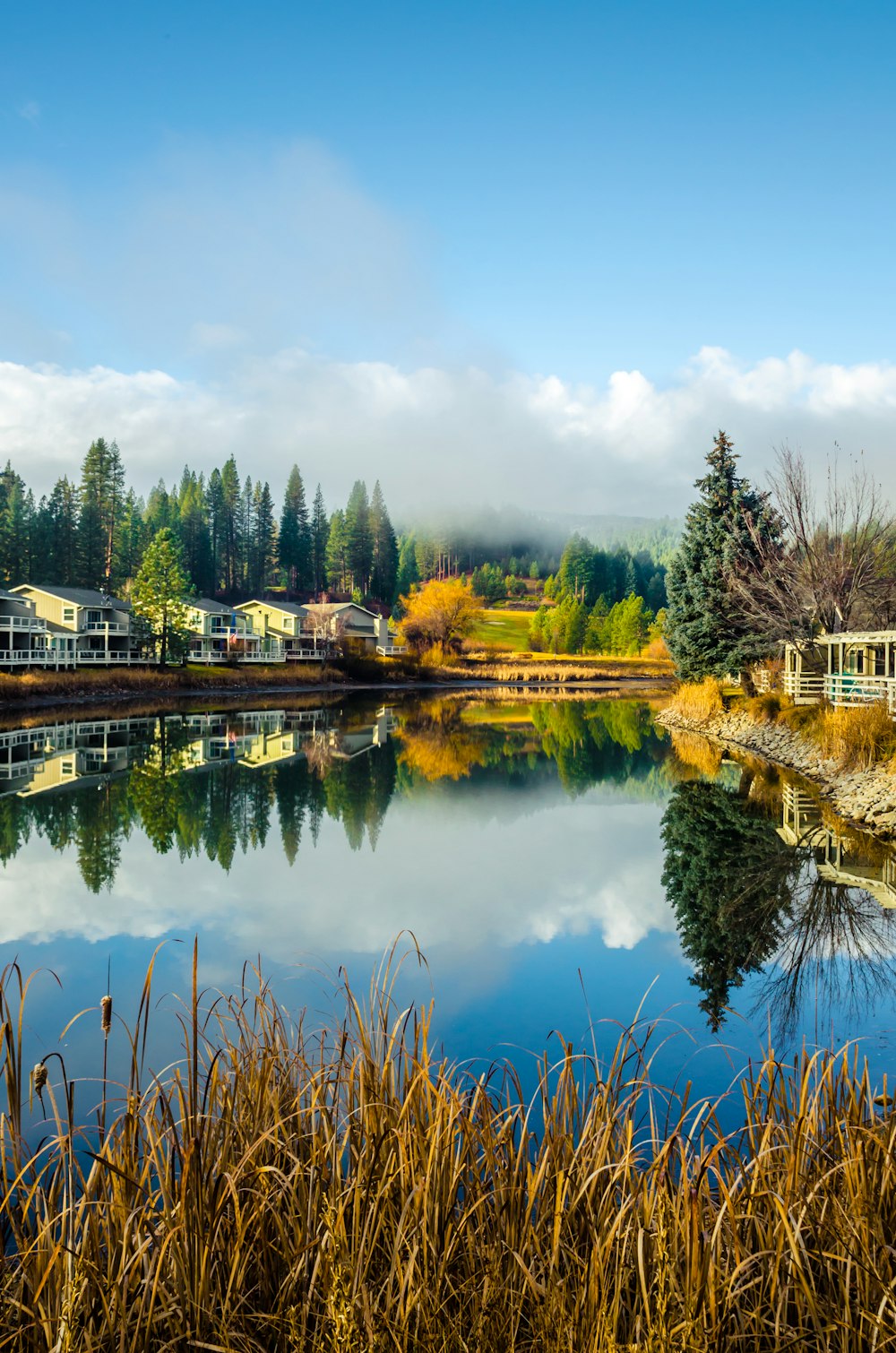 a body of water surrounded by trees and houses