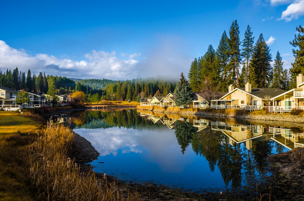 a body of water surrounded by trees and houses