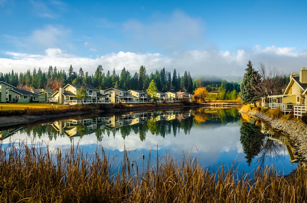 a body of water surrounded by houses and trees