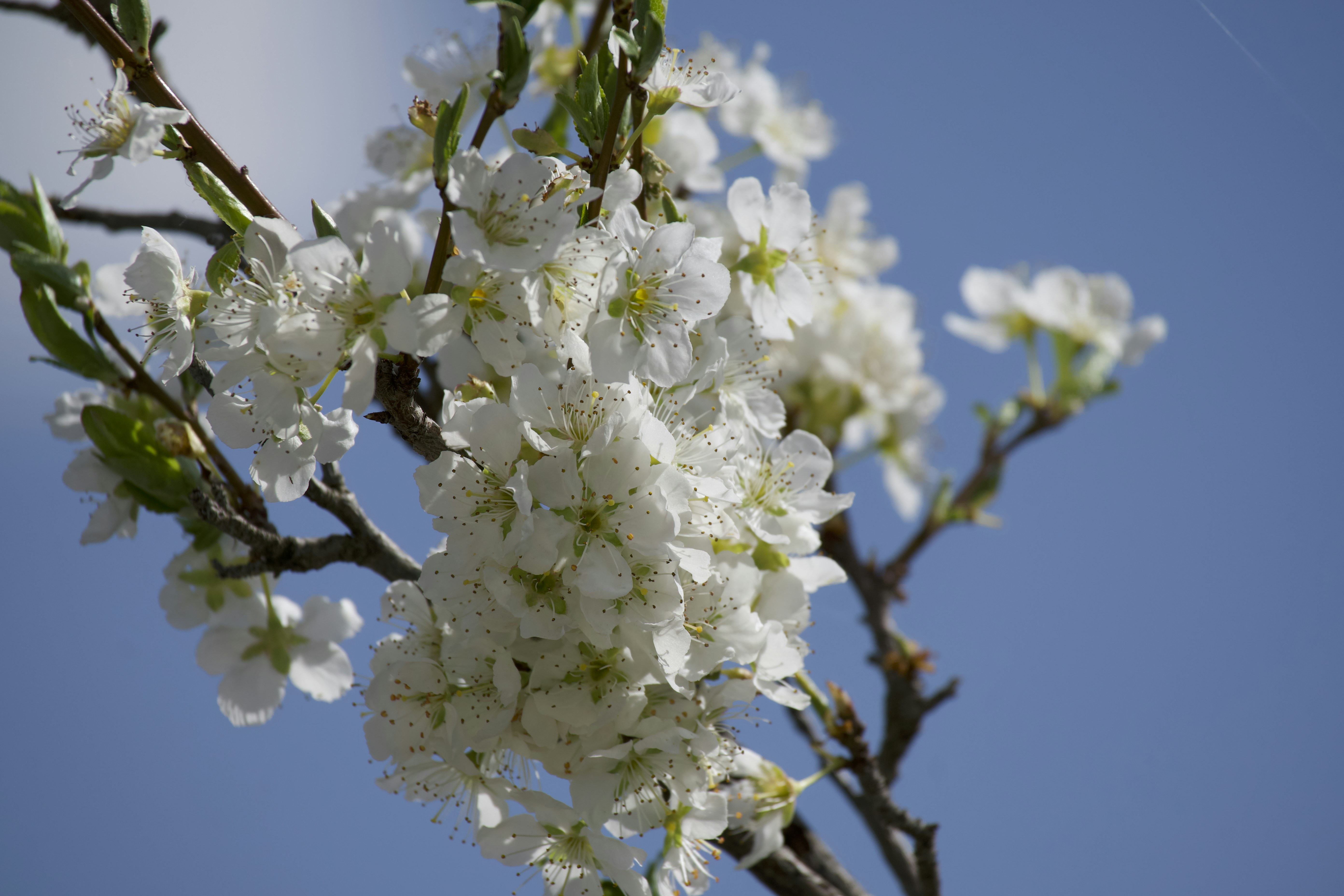 Photo by aminzabardast