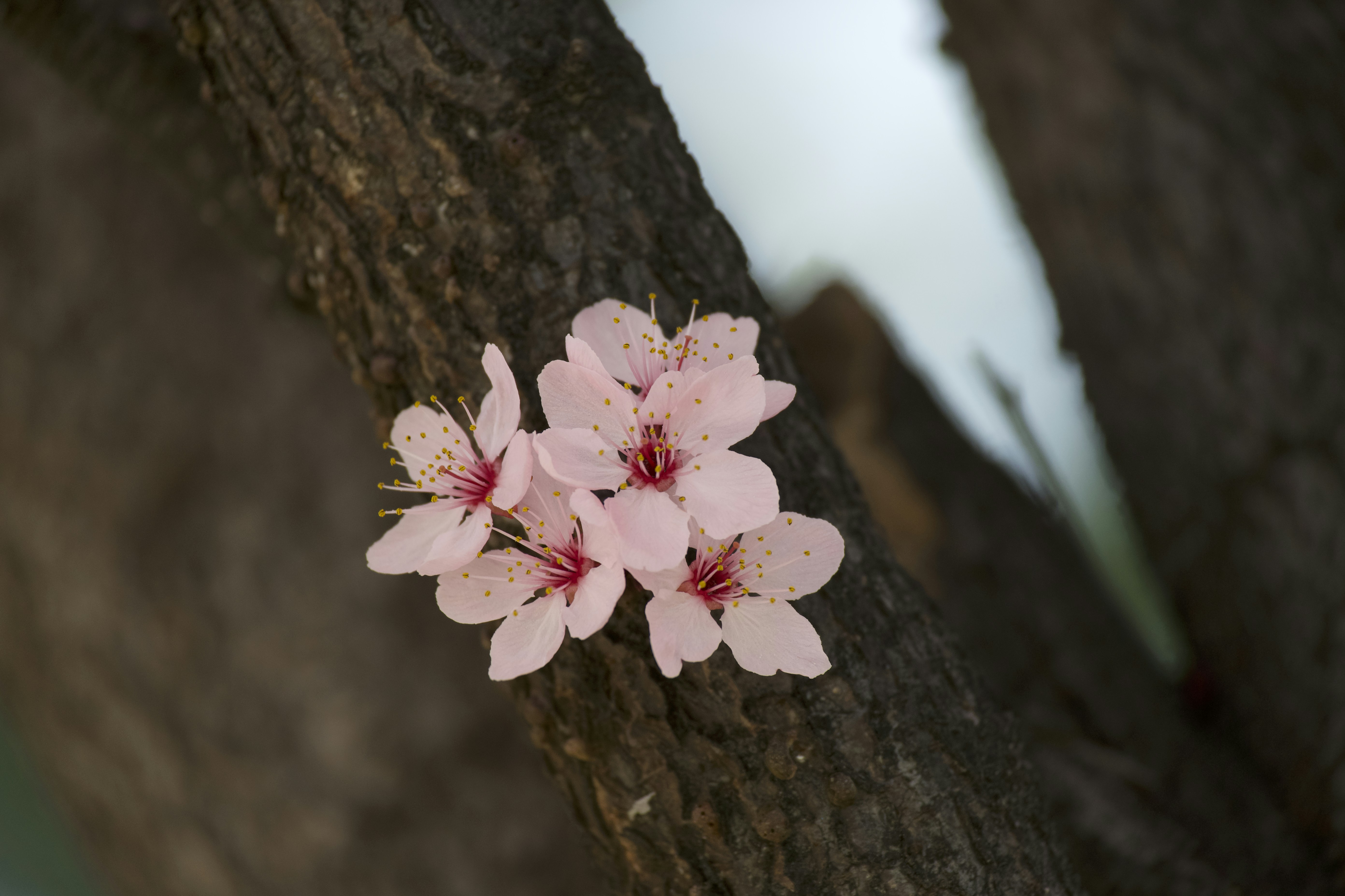 Photo by aminzabardast