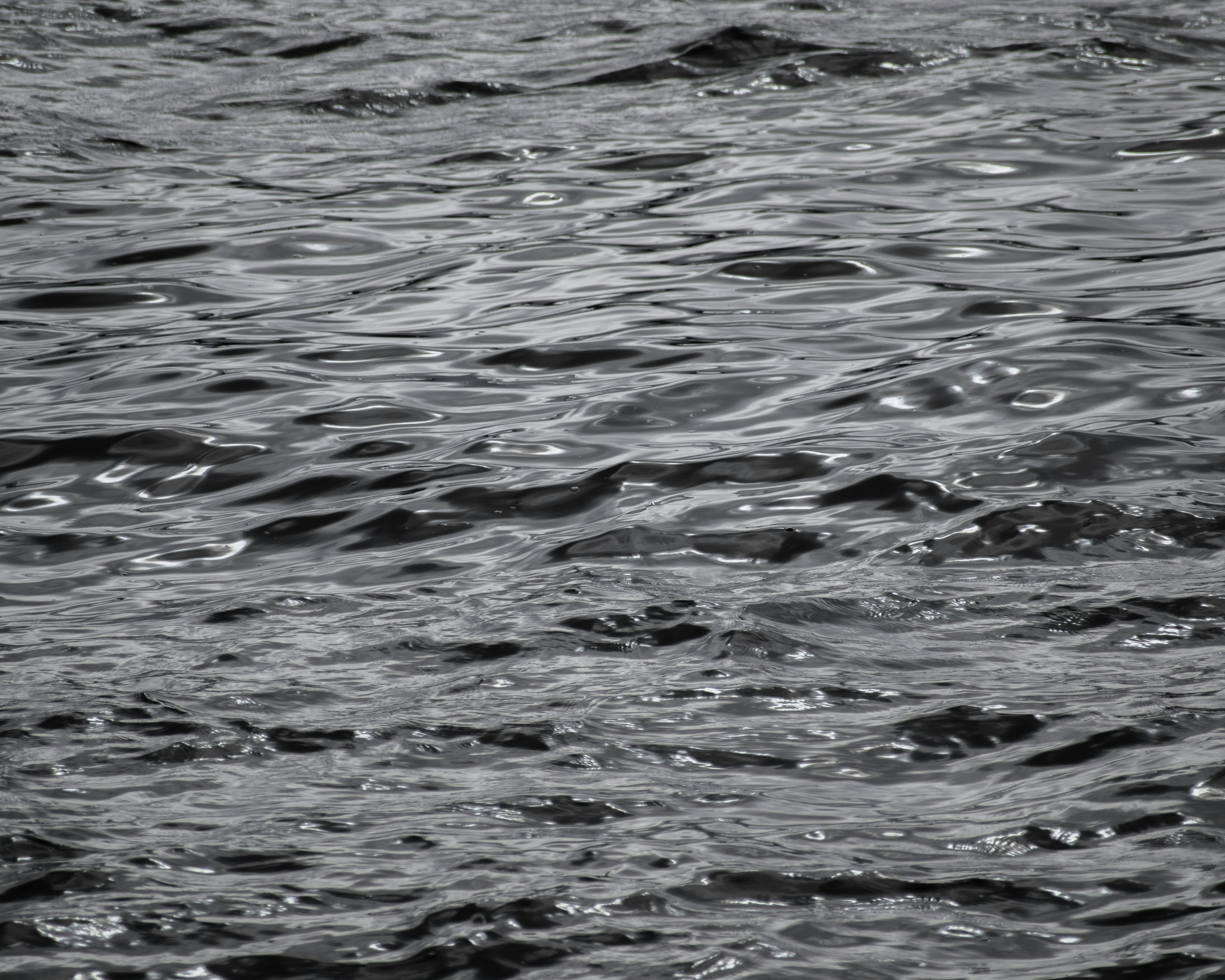 Photo by sebaslaverde_nkn