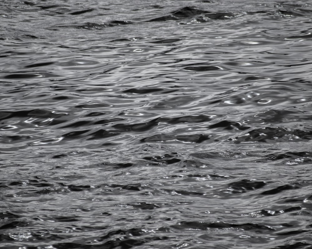 a black and white photo of the water