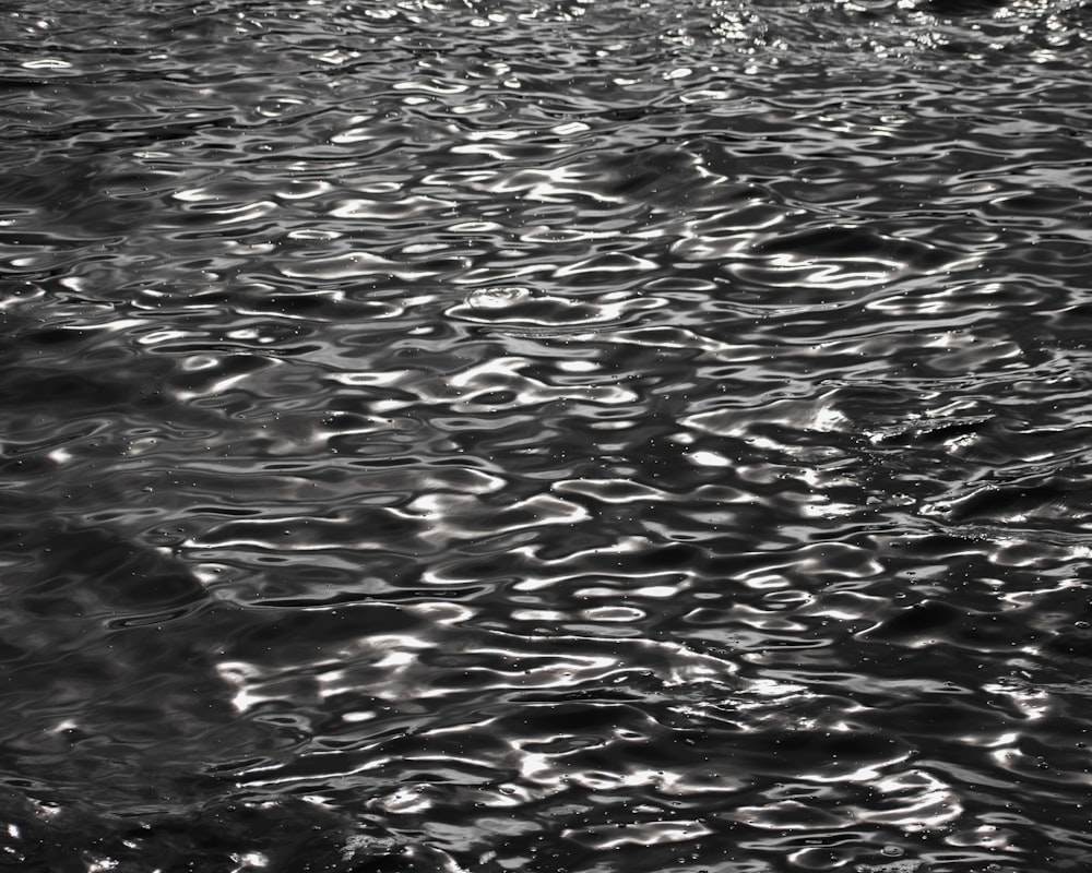 a black and white photo of the water