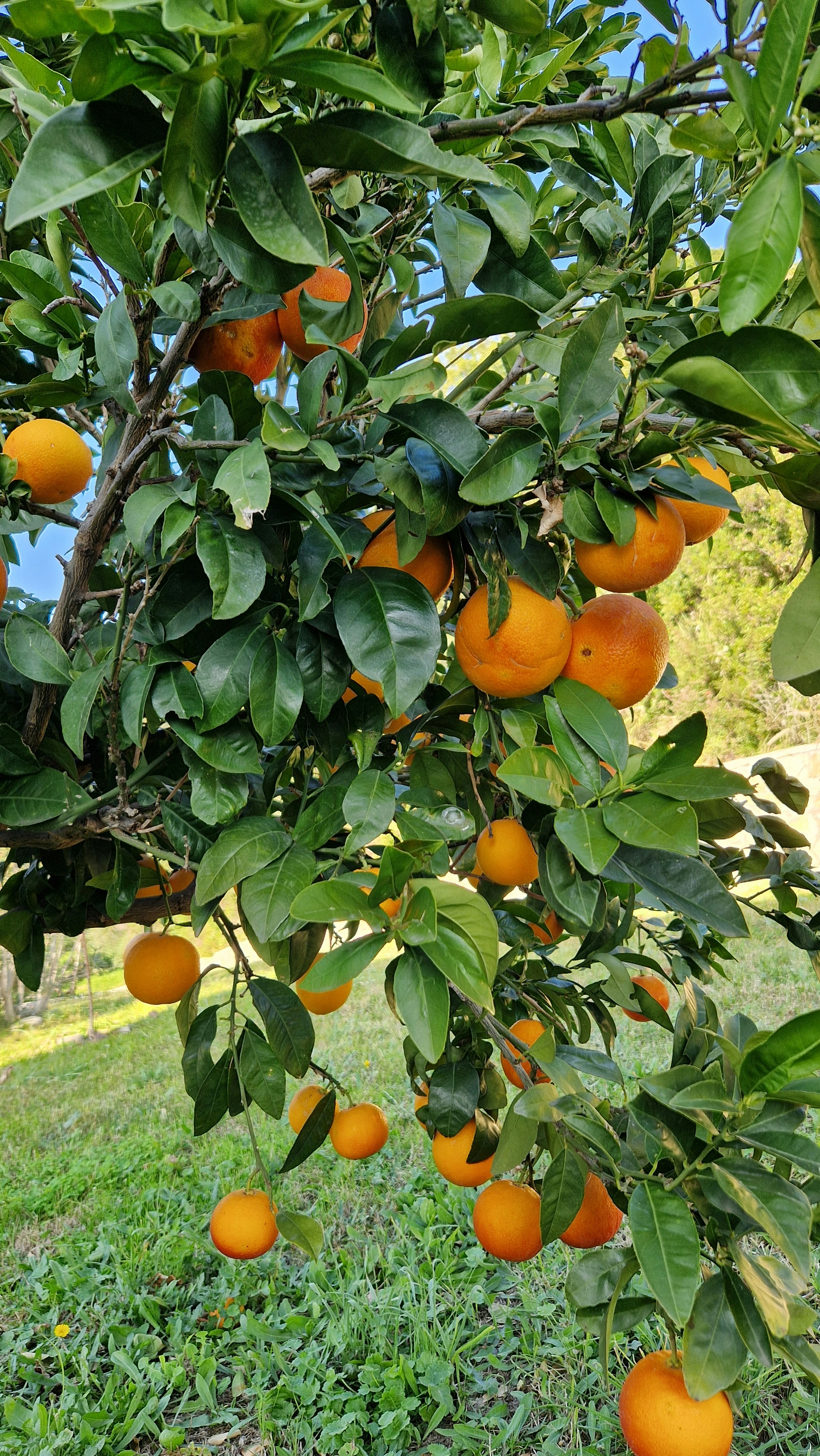 Photo by lispolzleitner