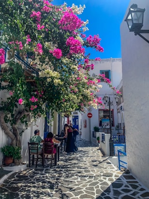a couple of people sitting at a table under a tree