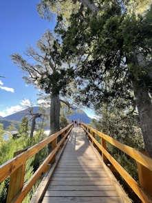 a wooden walkway leading to the top of a mountain