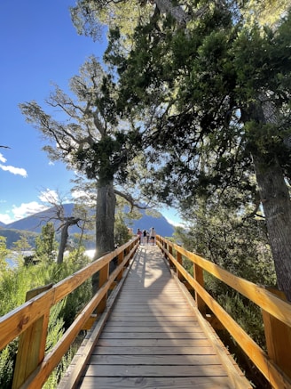 a wooden walkway leading to the top of a mountain