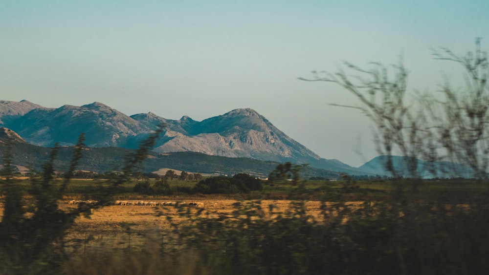 a view of a mountain range from a distance