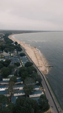 an aerial view of a beach and the ocean
