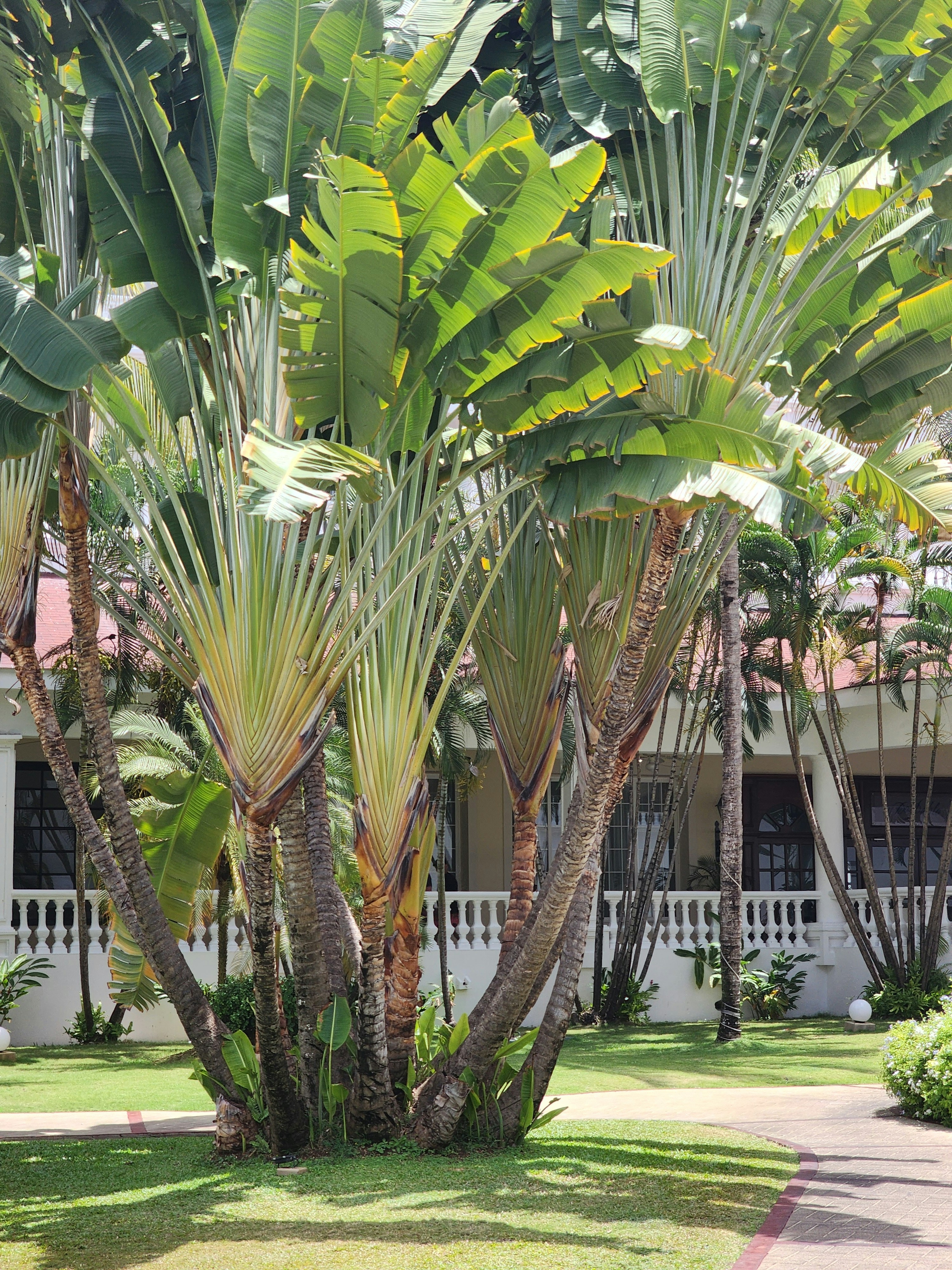 Photo by harindranvikram