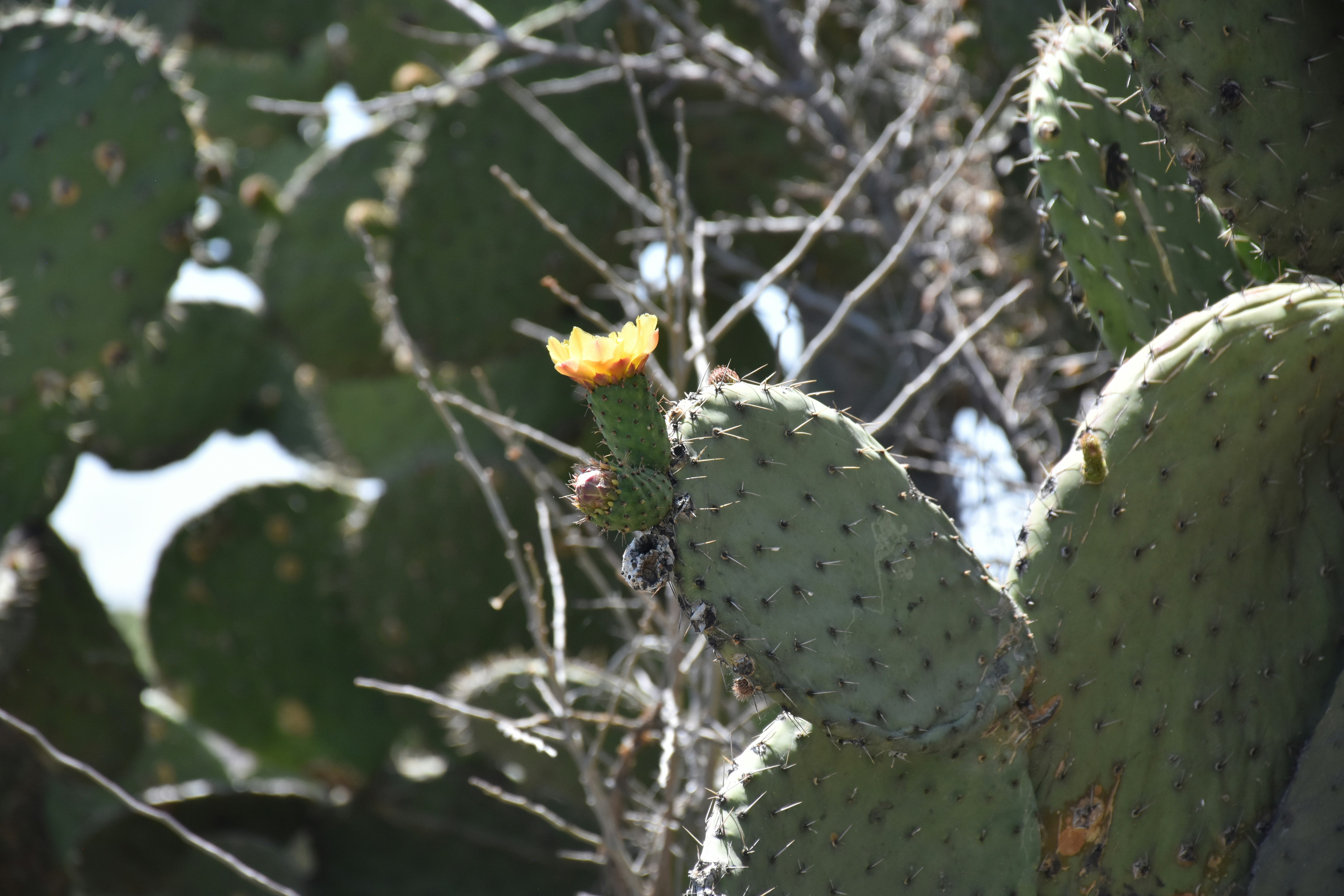 Photo by luigy_ghost