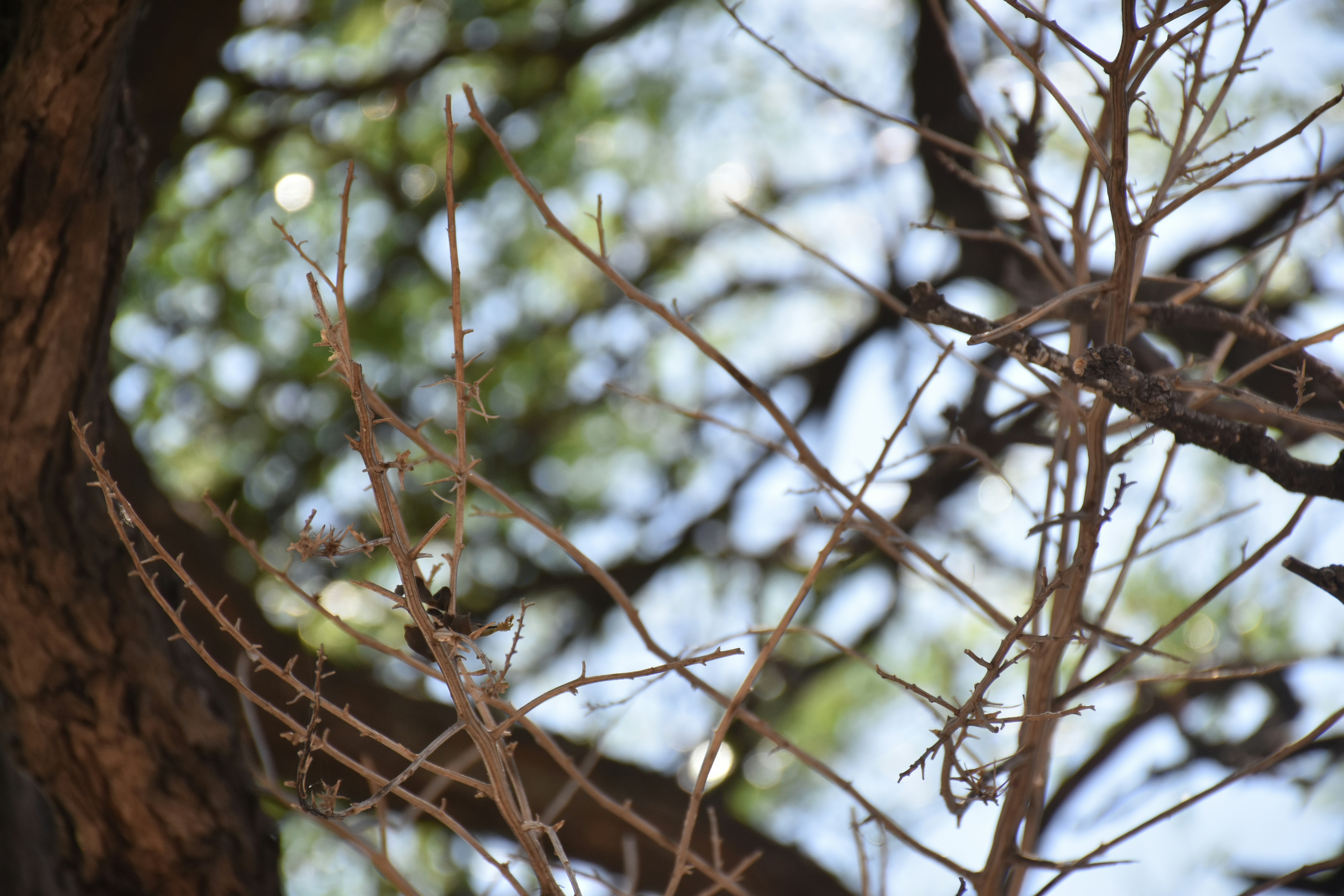 Photo by luigy_ghost