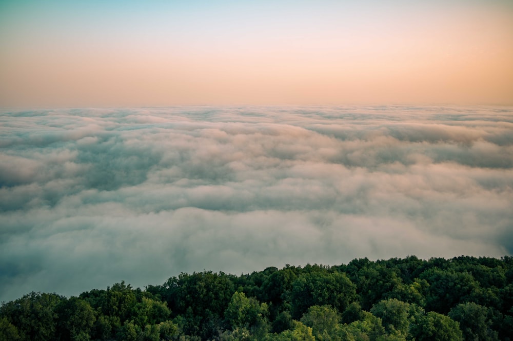 a view of a forest from above the clouds