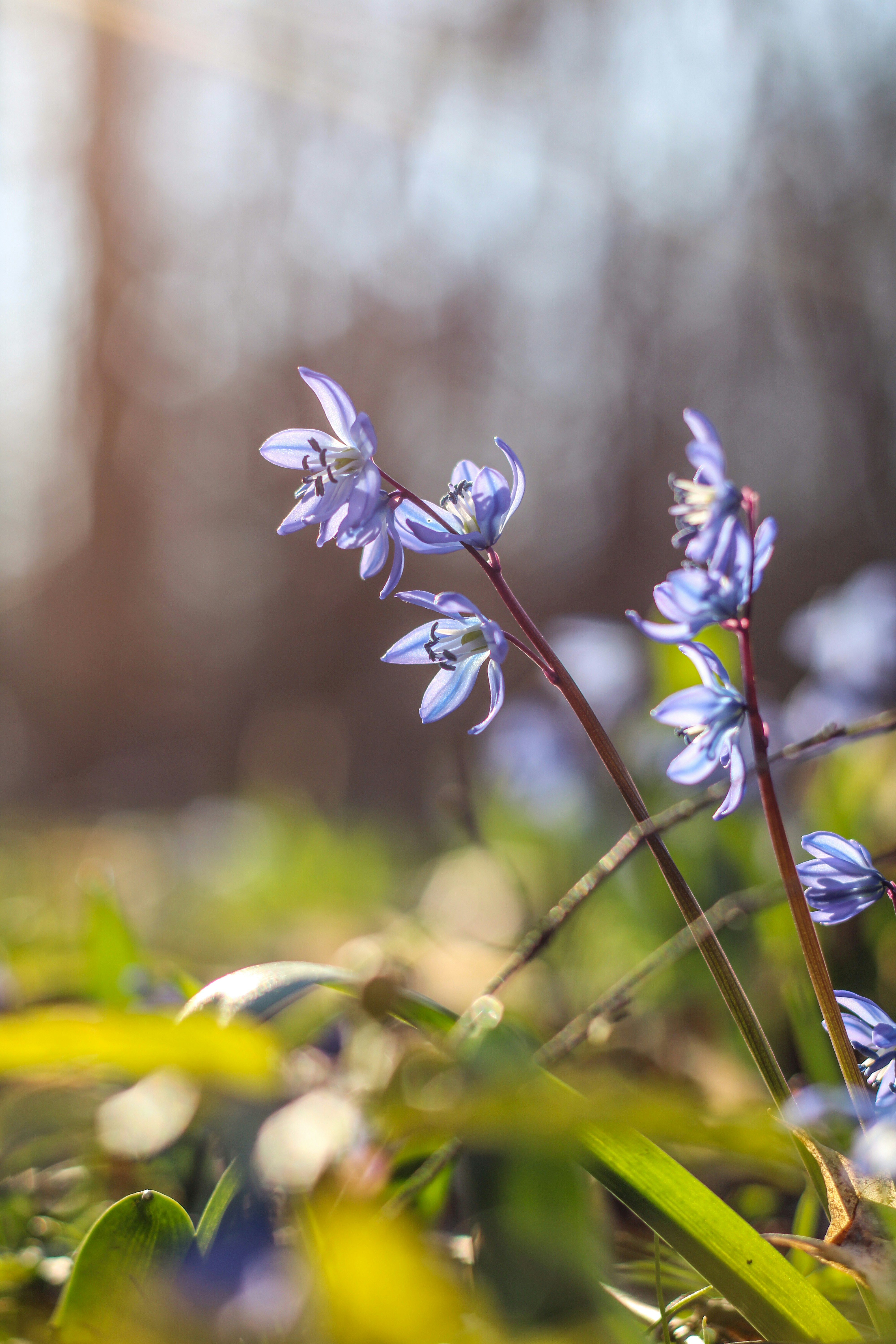 Photo by that_one_ukrainian