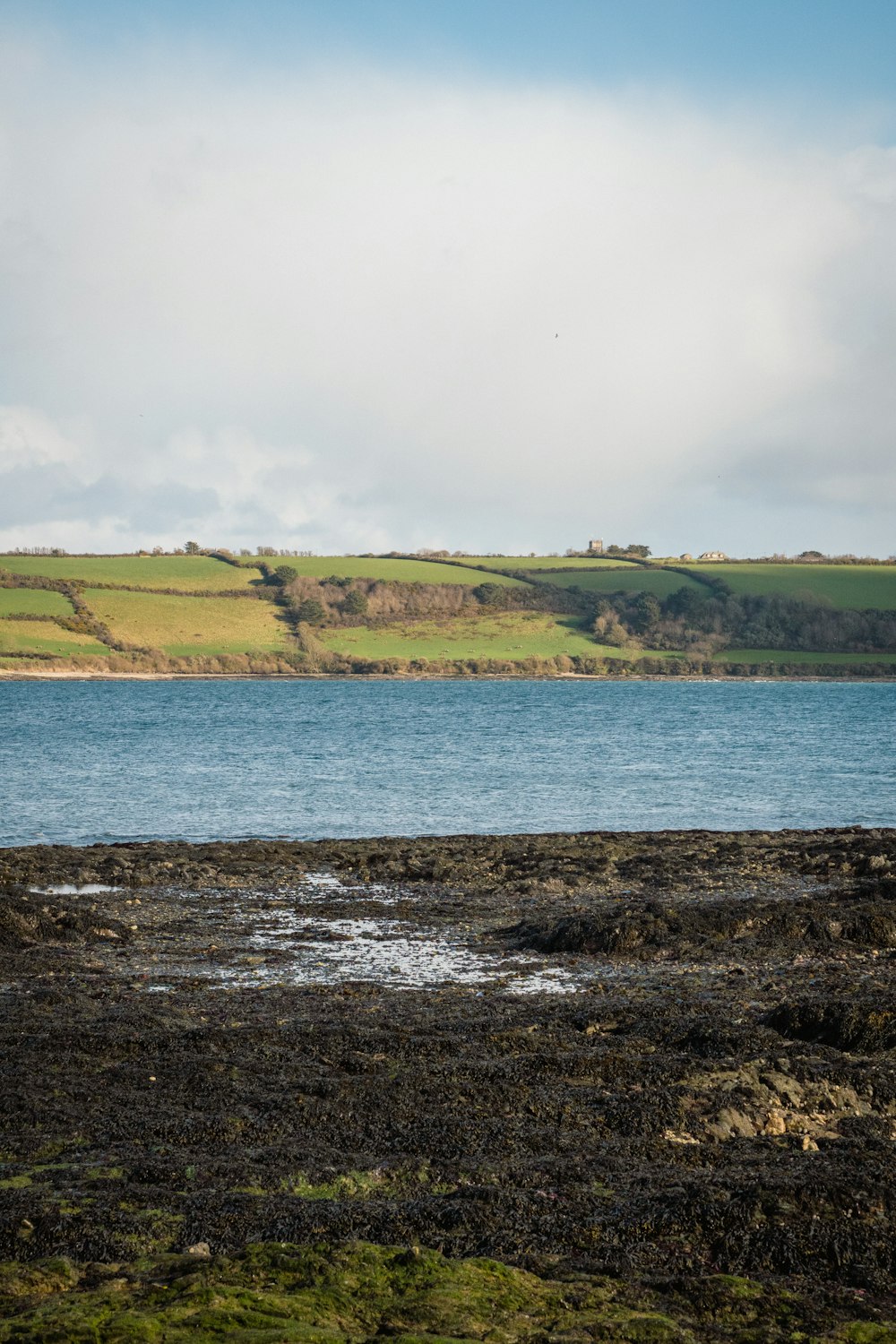 a large body of water sitting next to a lush green hillside