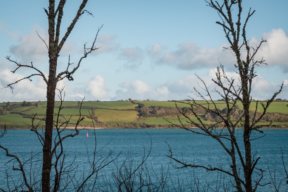 a body of water with trees in the foreground