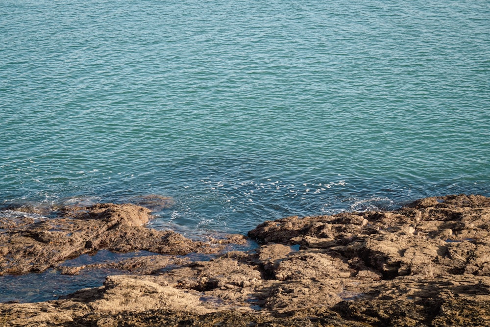 a person sitting on a rock near the water