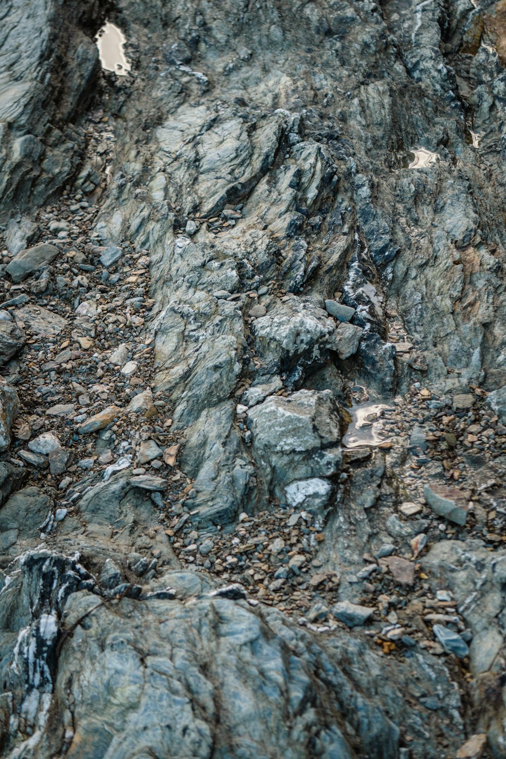 a bird sitting on top of a rocky hill