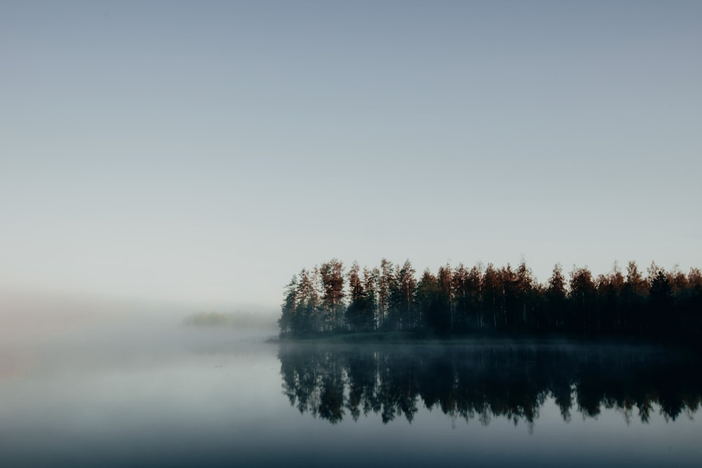 a body of water with trees in the background