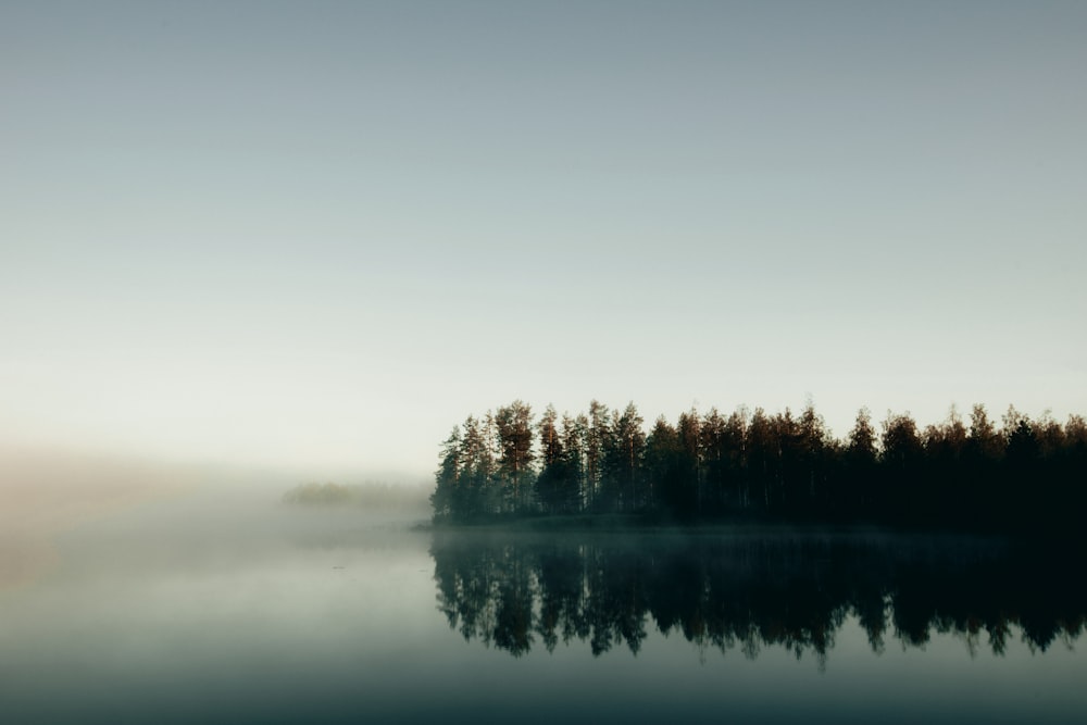 a body of water with trees in the background