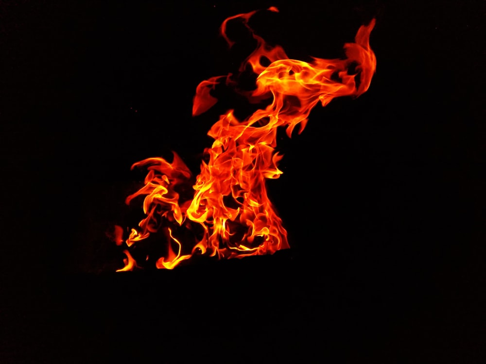 a close up of a fire on a black background