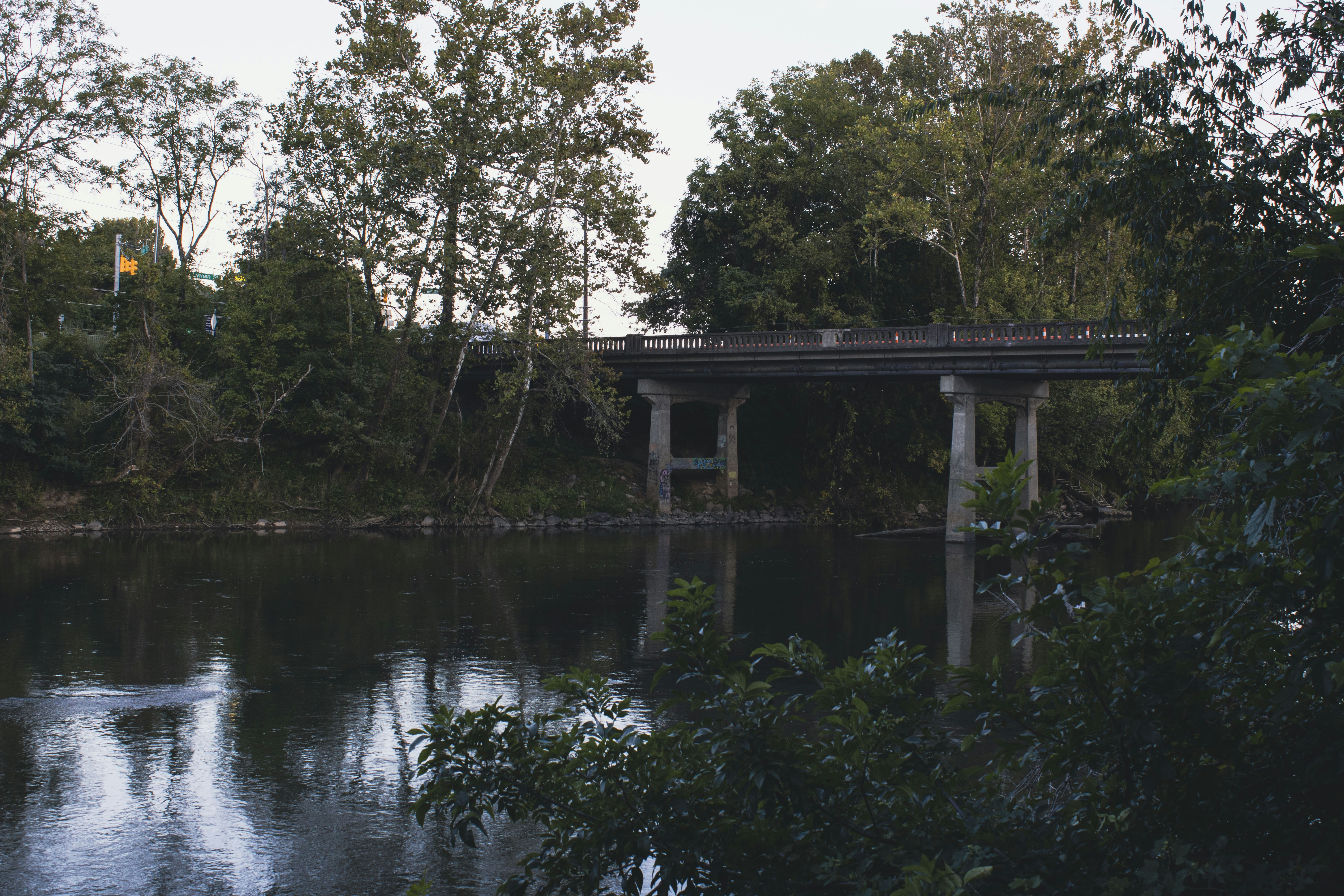 a bridge over a body of water surrounded by trees
