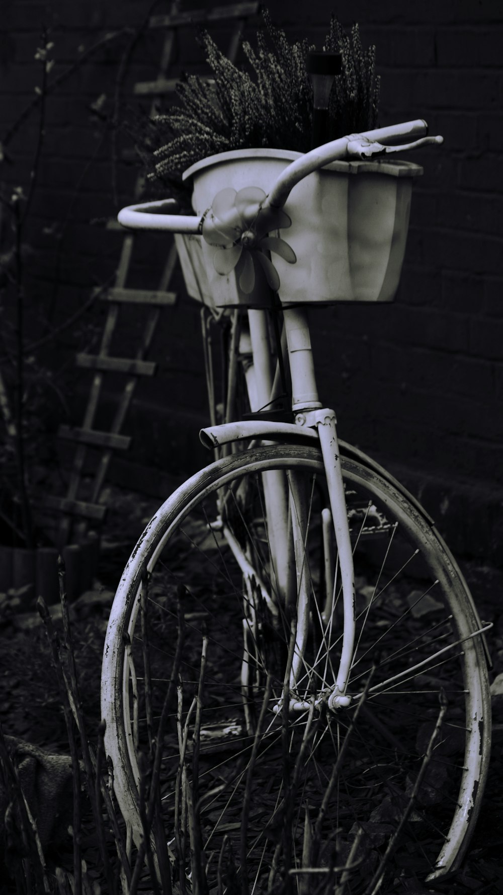 a bicycle with a potted plant on the back of it