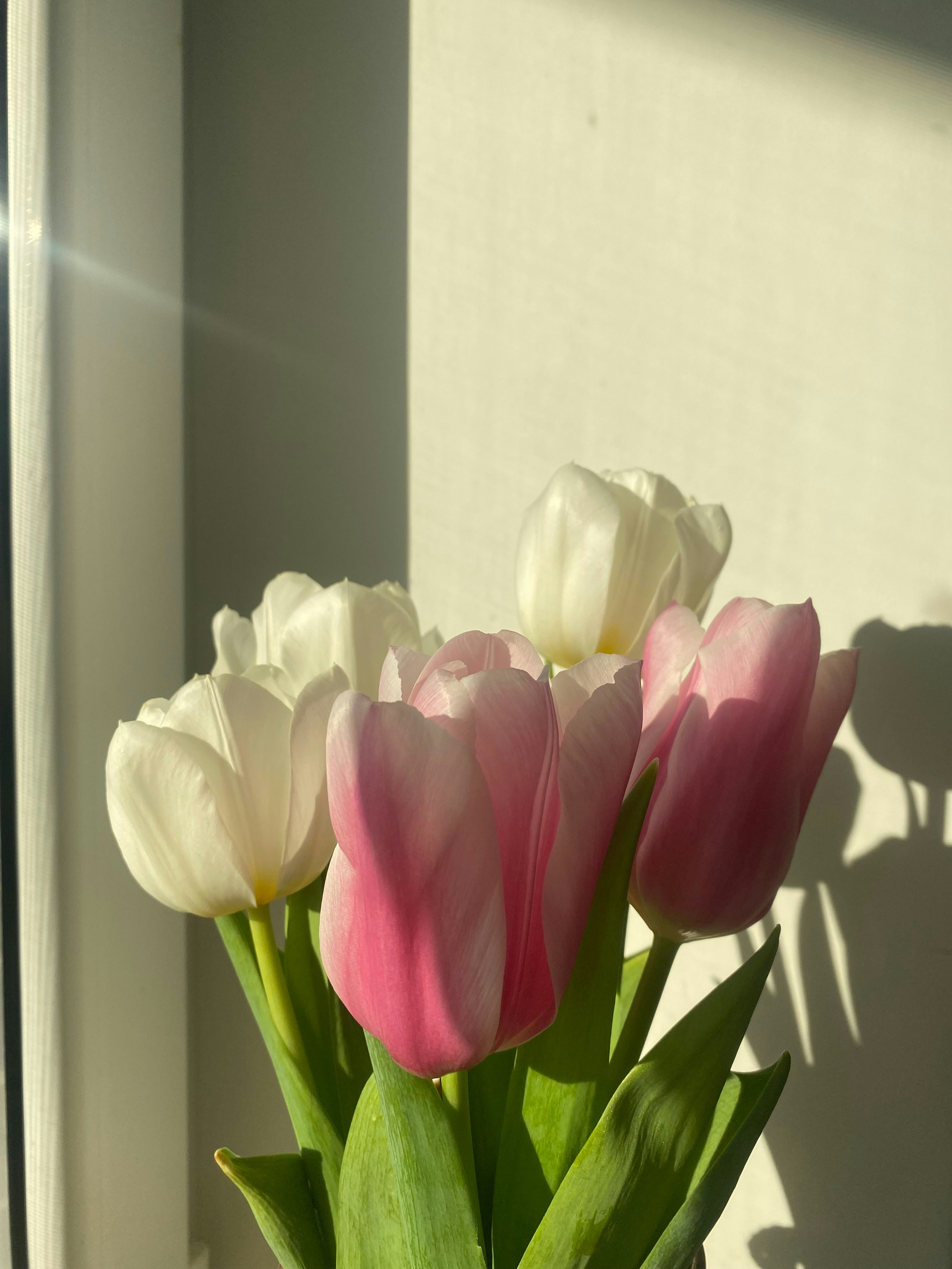 Colorful mixed flower bouquet with roses, lilies, and tulips in pink and white, bright natural light, clean background