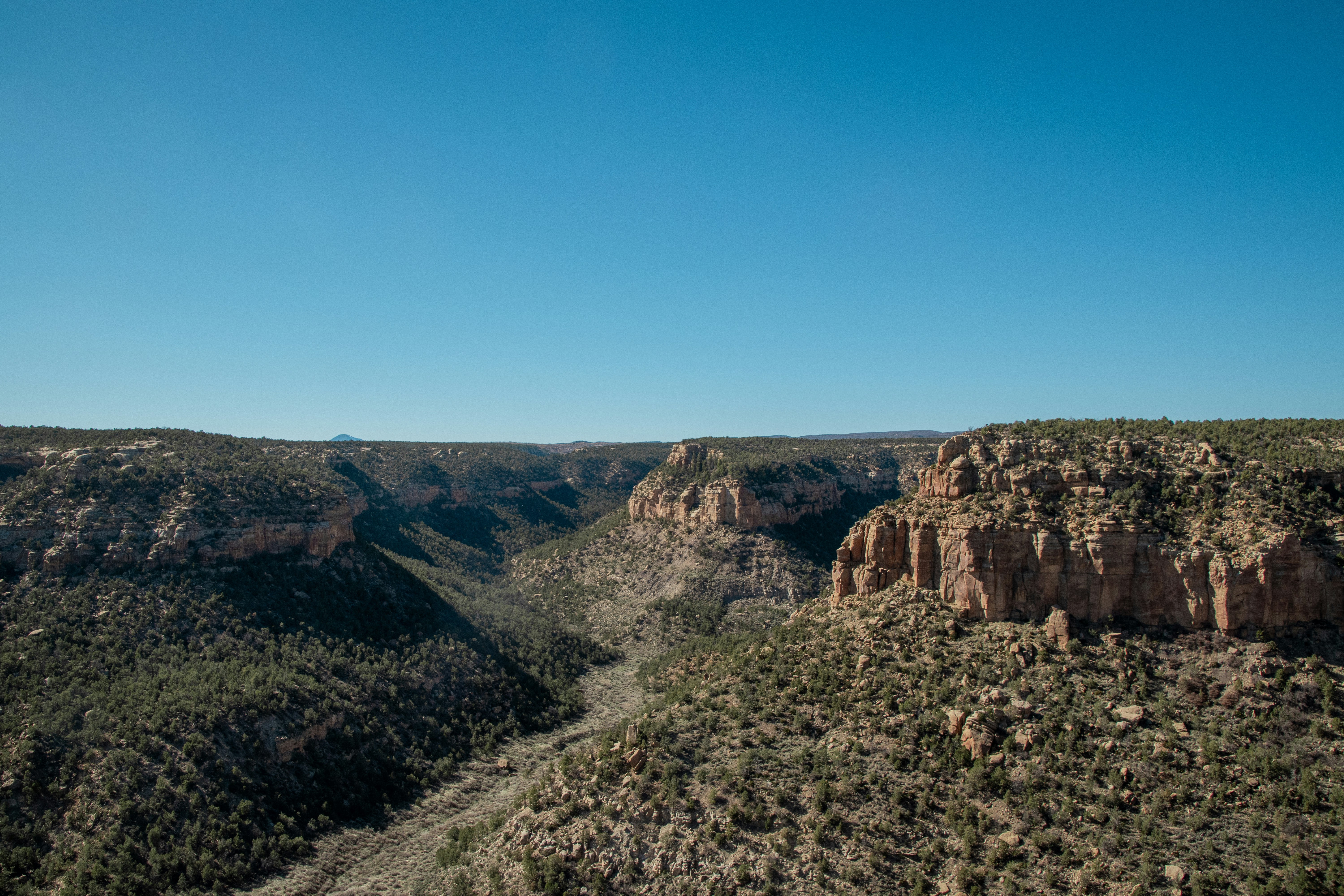 Photo by attaliehart