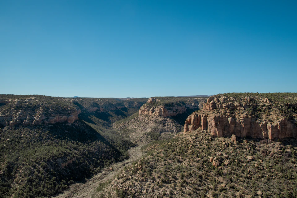 The image depicts a breathtaking view of a canyon landscape, with a deep blue sky and a light brown canyon wall on one side. The canyon is filled with lush green vegetation, creating a vibrant contrast against the rocky terrain. The perspective from above provides an expansive view of the canyon's depth and grandeur, showcasing its natural beauty and the passage of time that has shaped it over centuries.

The image does not contain any discernible text or countable objects, making it a captivating visual experience for viewers.