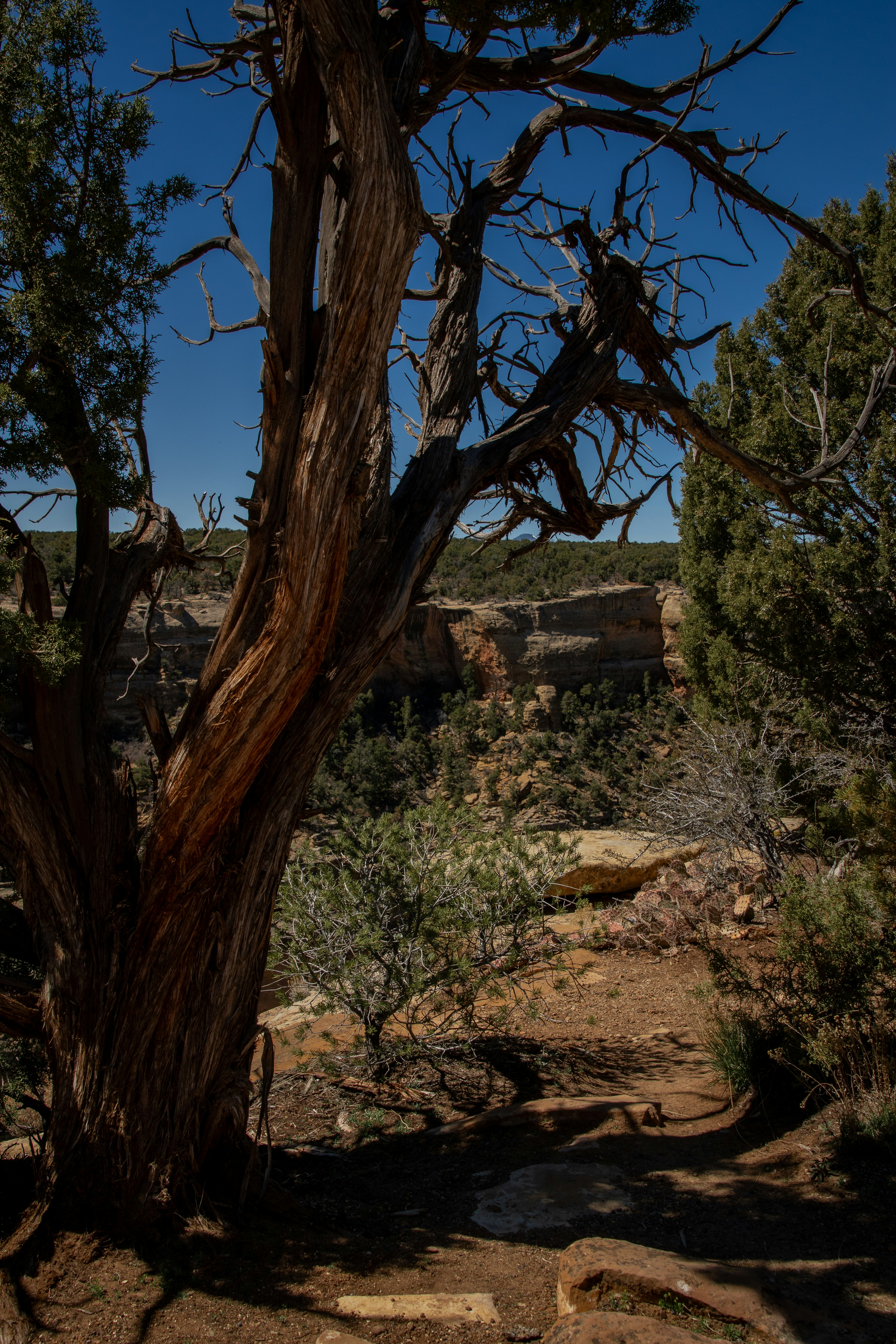 Photo by attaliehart