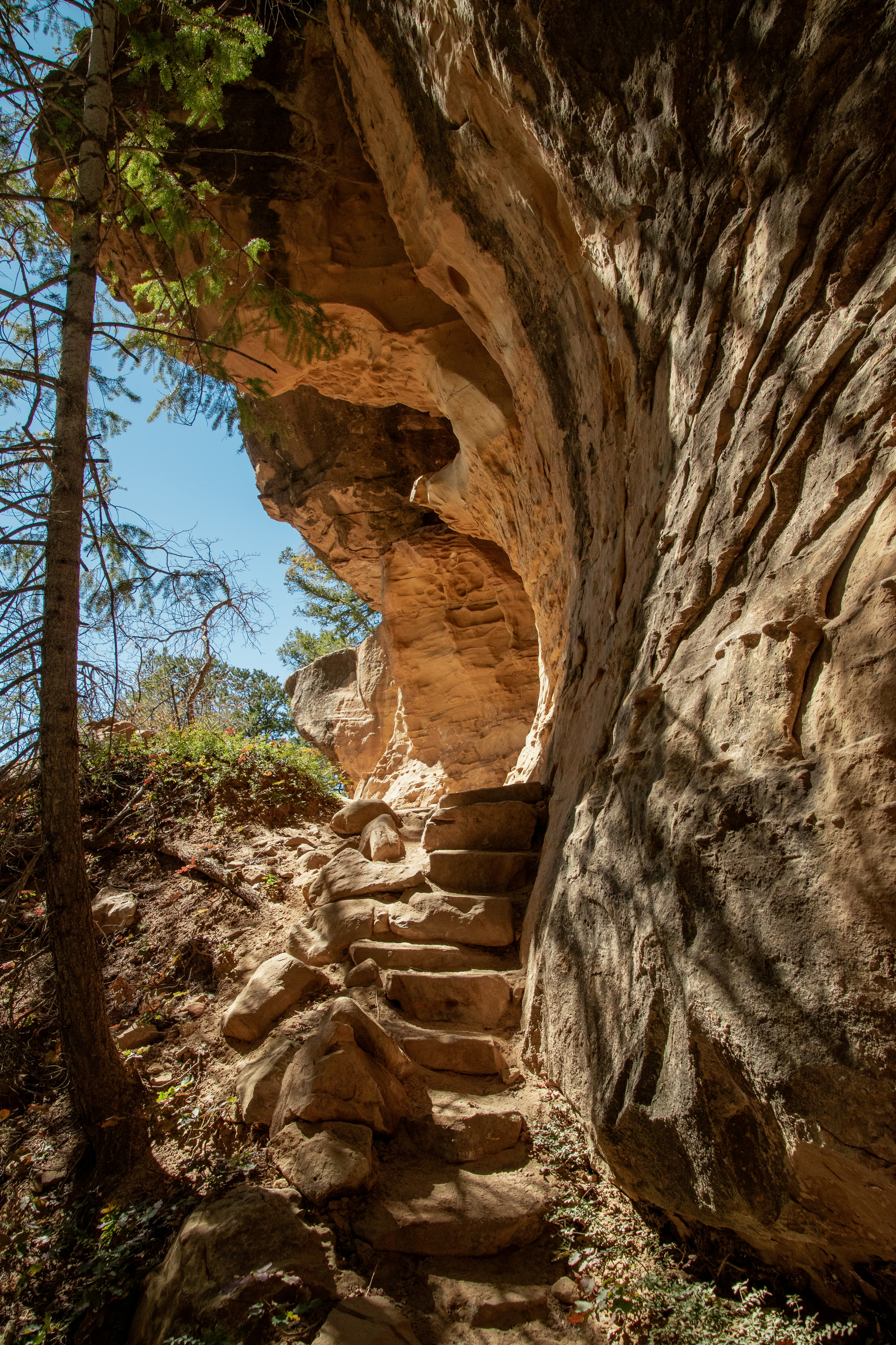 Photo by attaliehart