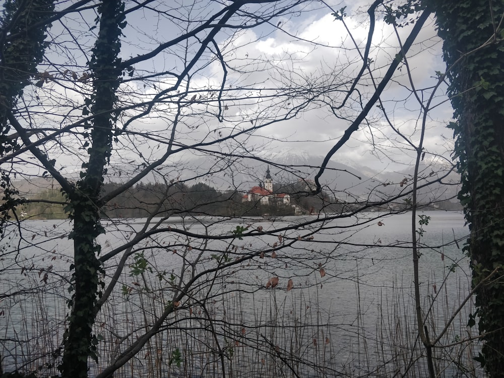 a body of water surrounded by trees and mountains