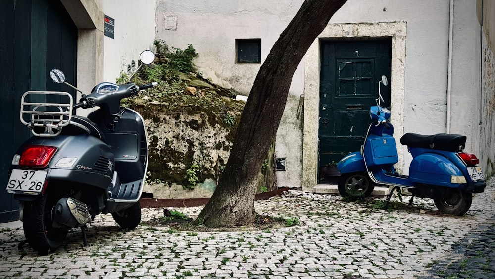 a blue scooter parked next to a tree on a cobblestone street