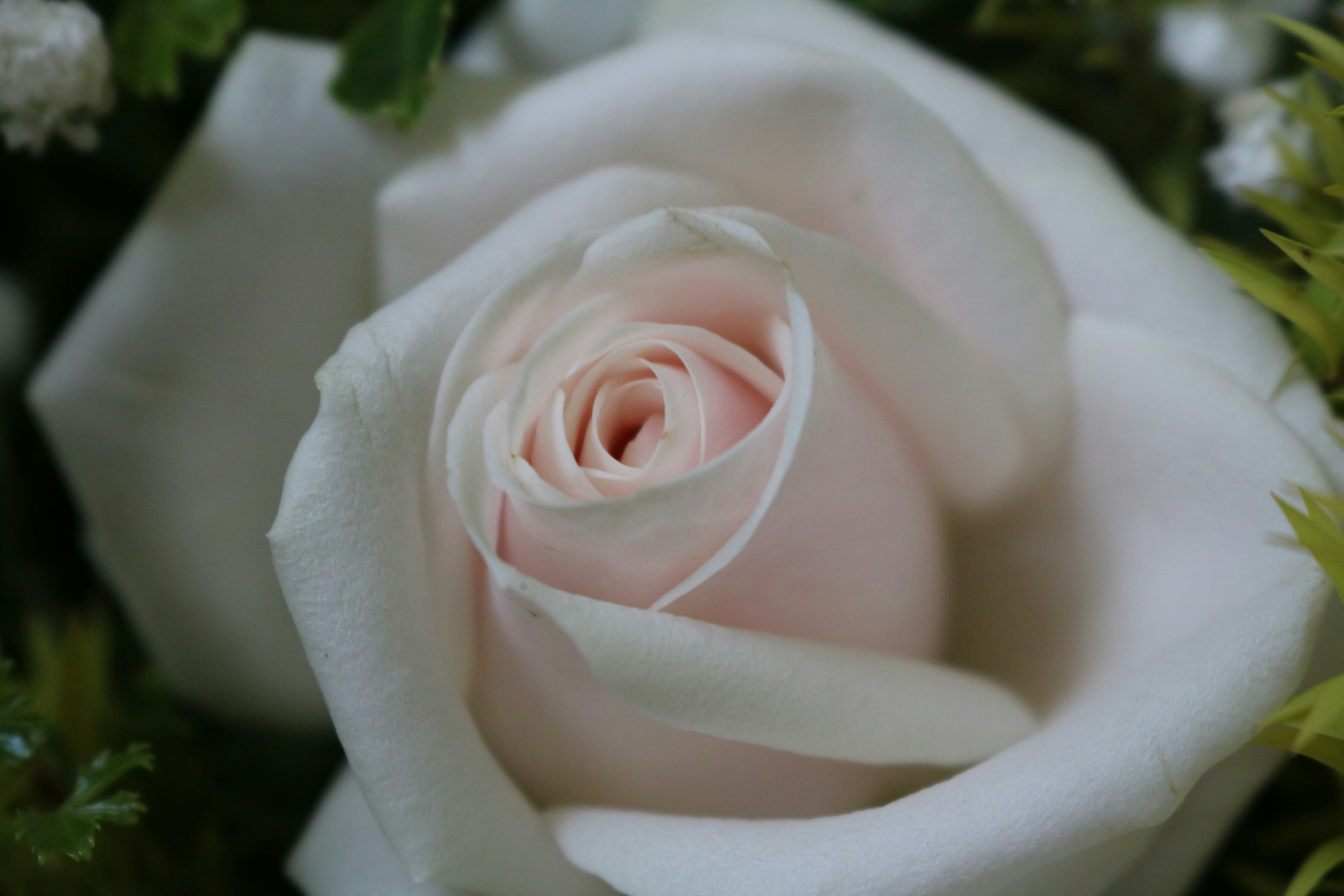 Photo by uyennguyen2401