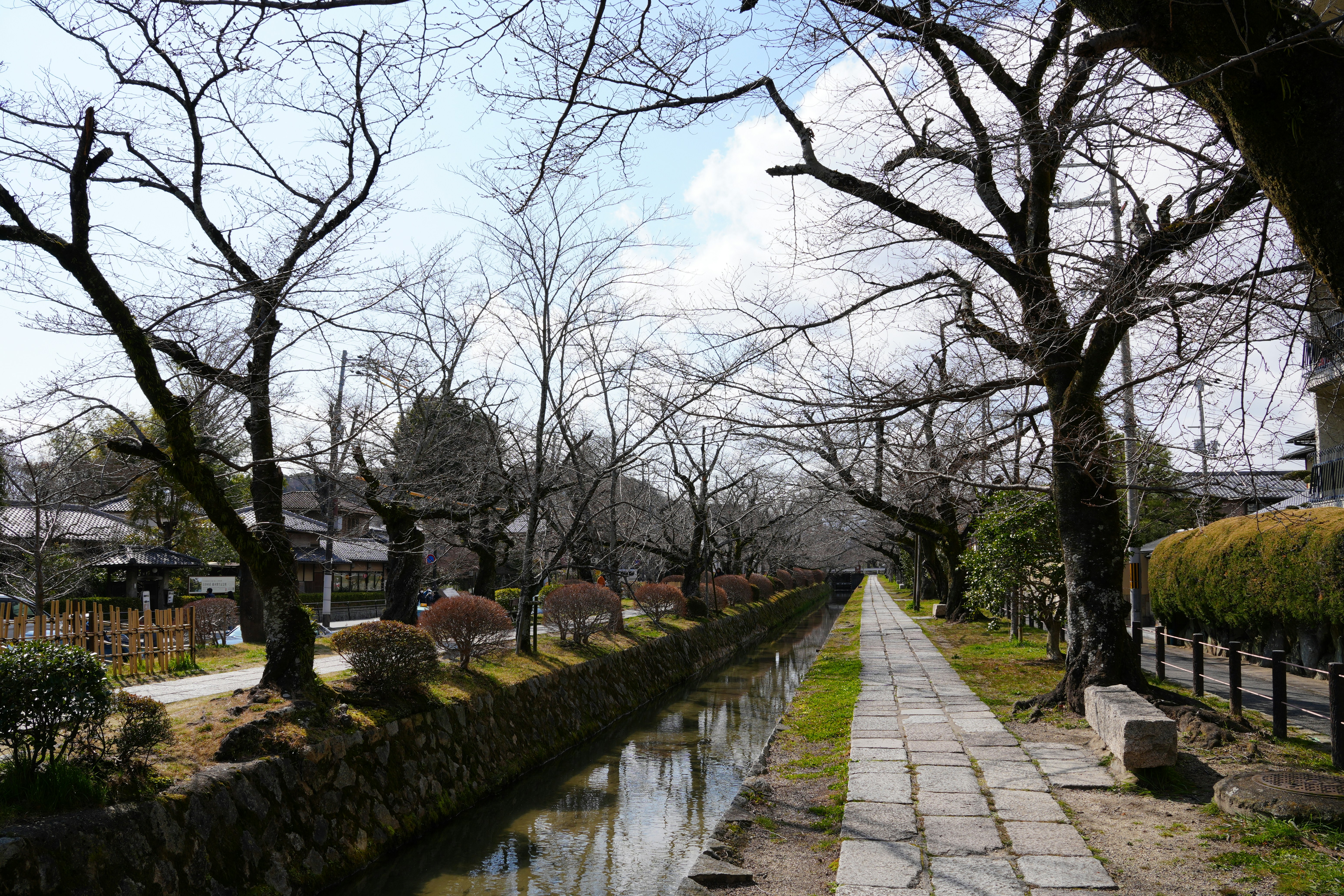 Photo by dm8ryphotos