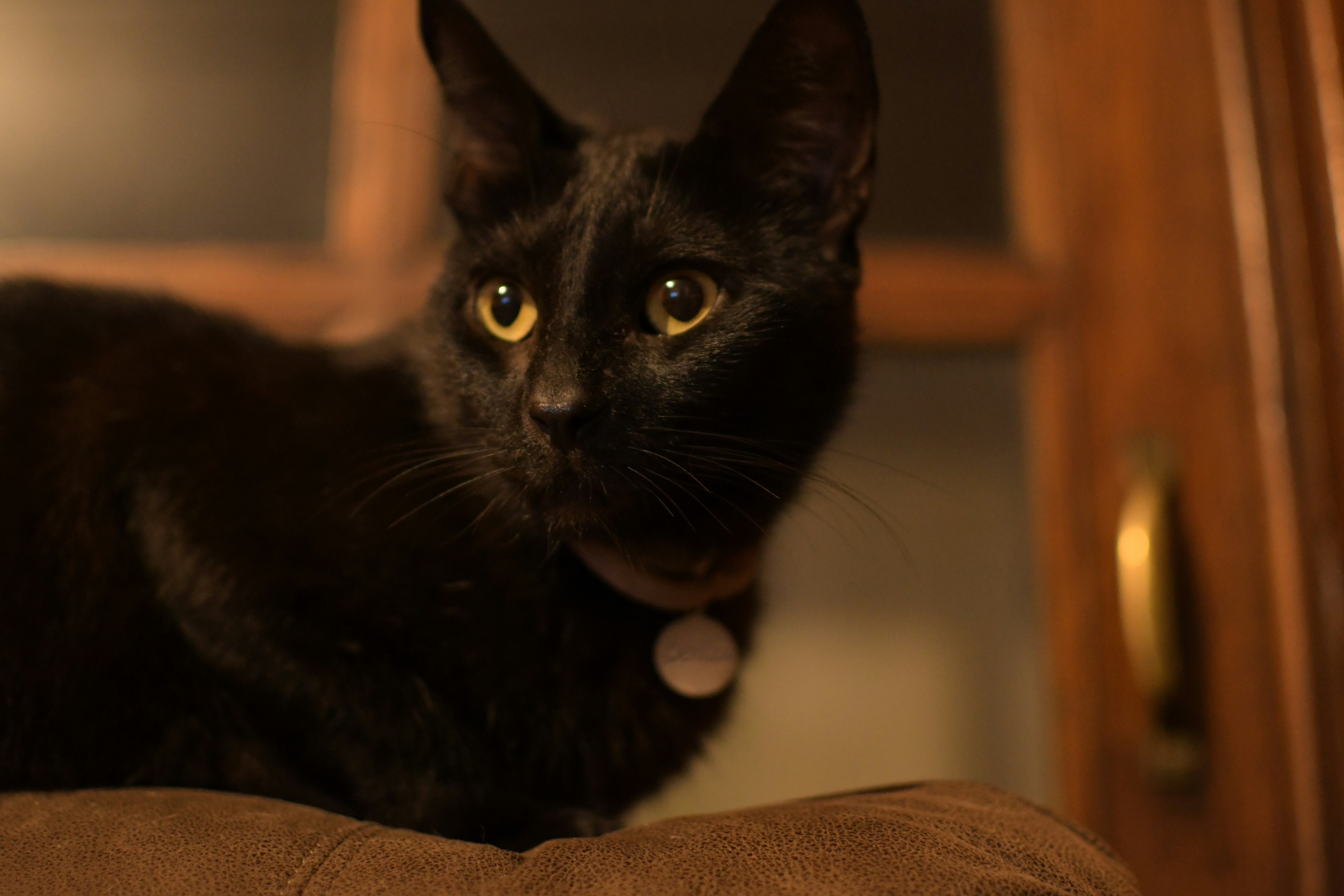 Photo by rodriguezweber